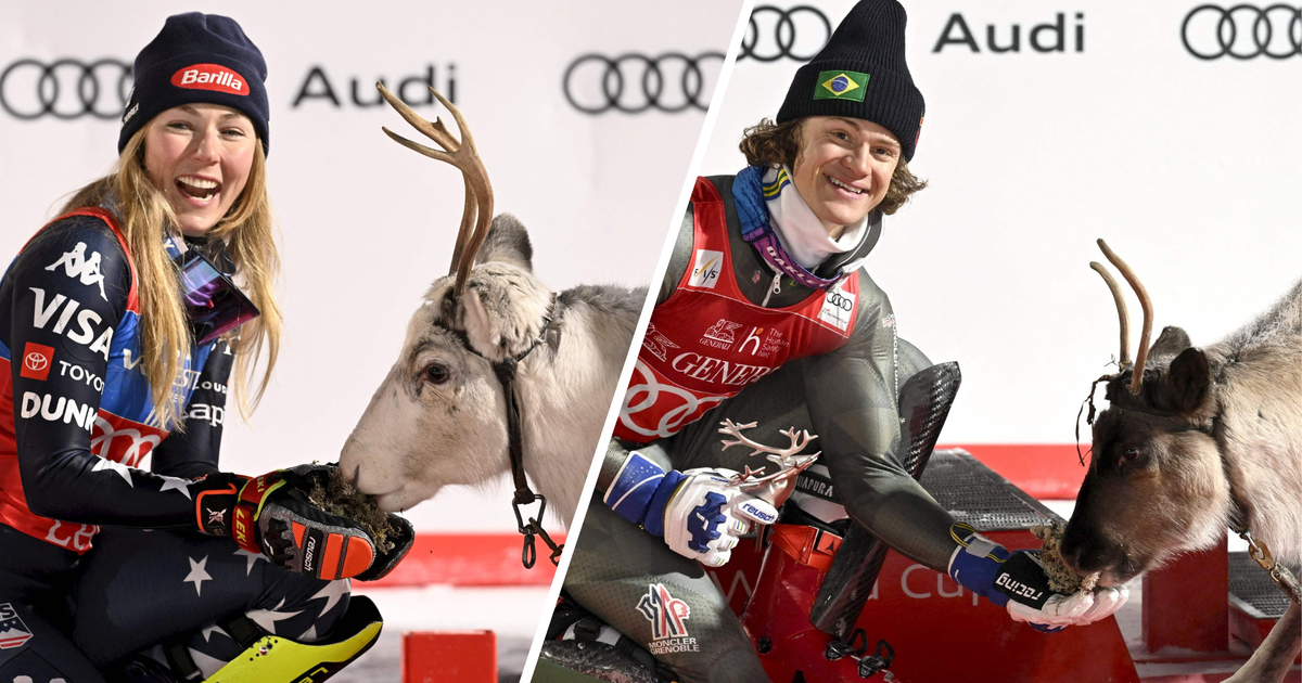 Shiffrin-und-Braathen-tauften-ihre-Rentiere-Willkommen-in-der-Familie-