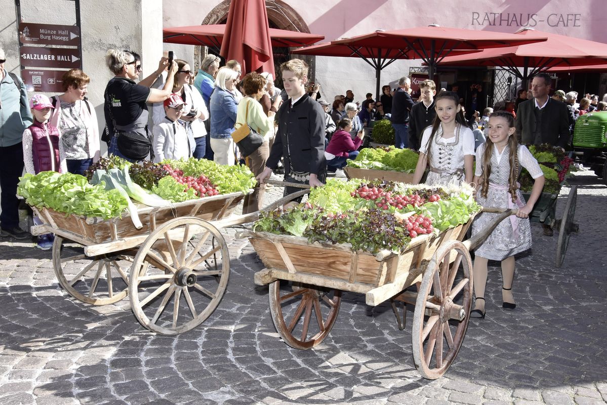 Ein Fest für den Frühlingsboten: Hall im Zeichen des Radieschens