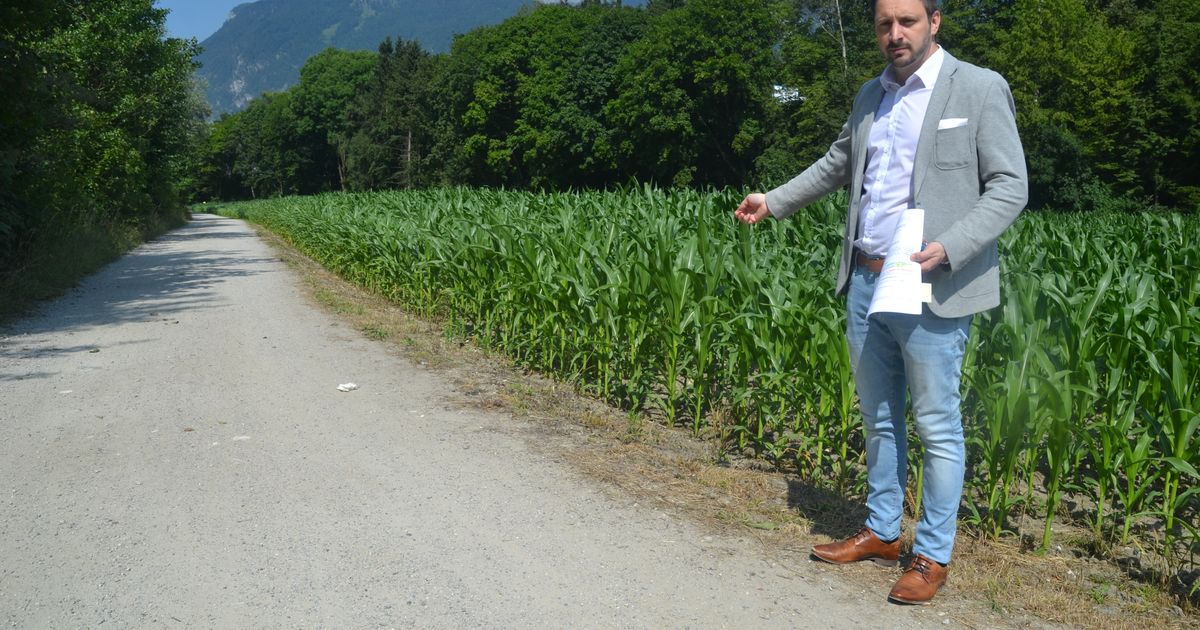Heftige-Kritik-von-allen-Seiten-am-Schutzdamm-in-Kramsach