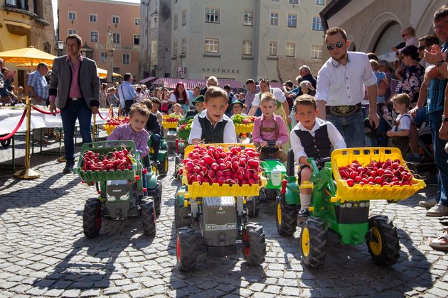 Die Kinder hatten einen Heidenspaß. Und präsentierten ganze Wagenladungen voll mit dem knackigen Gemüse.
