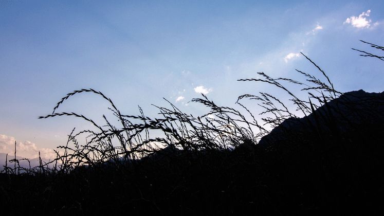 Abendstimmung in Gnadenwald.