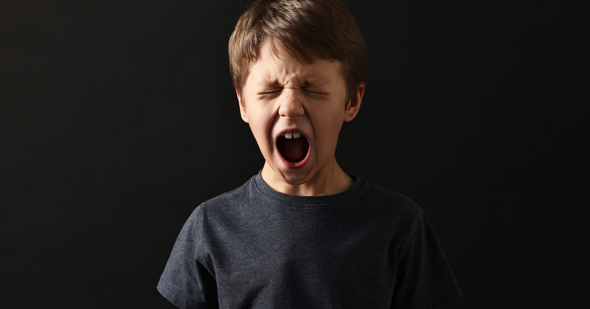 Tiroler-Psychiatrie-Chefin-fordert-Social-Media-Verbot-und-Schulfach-Psychische-Gesundheit-