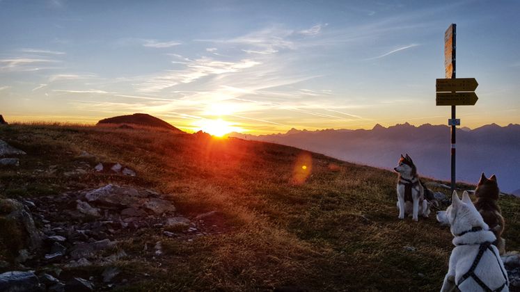 Sonnenaufgang auf der Glanderspitze.
