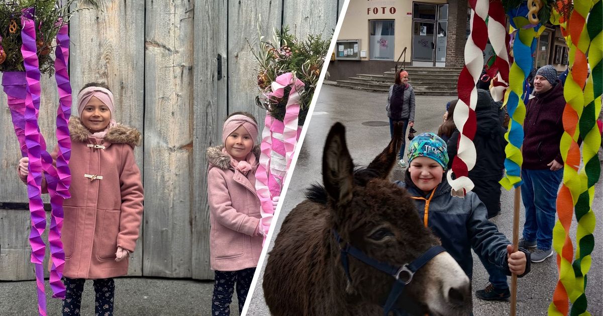 Pr-chtige-Palmbuschen-und-meterhohe-Palmlatten-Das-sind-die-besten-Leserfotos