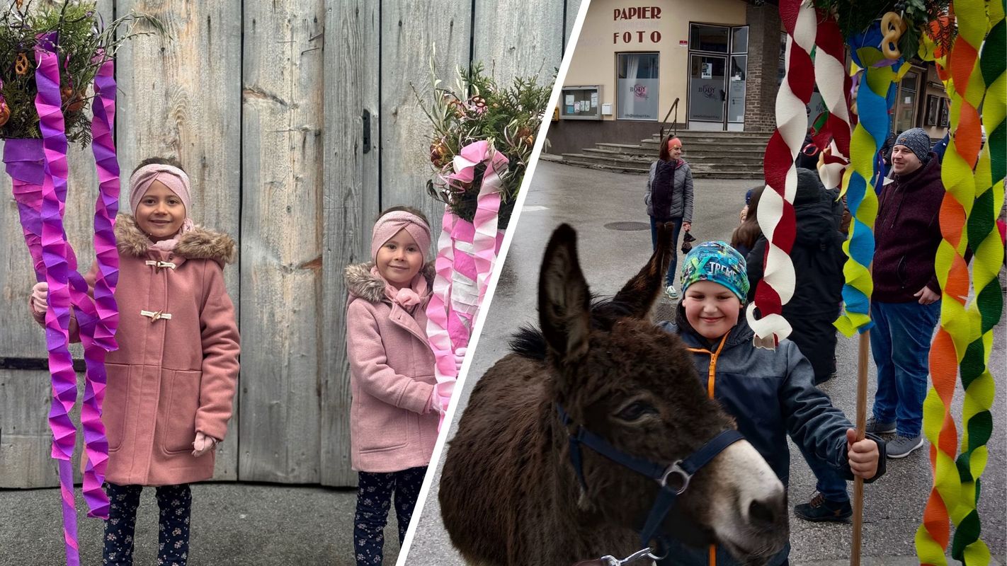 Prächtige Palmbuschen und meterhohe Palmlatten: Das sind die besten Leserfotos