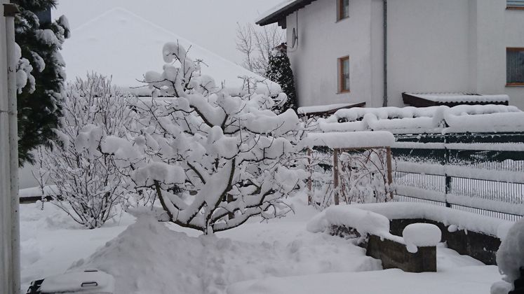 Vomp im Schnee.