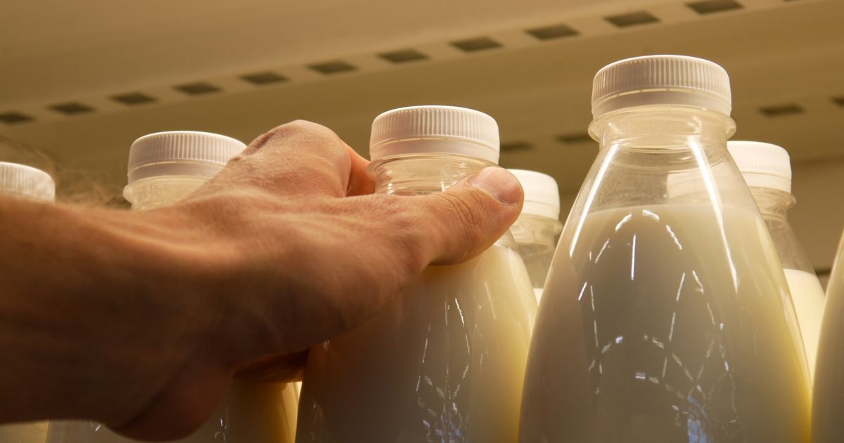 Aus-diesem-Grund-sind-manche-pflanzliche-Drinks-als-Ersatz-f-r-Kuhmilch-f-r-Kinder-bedenklich