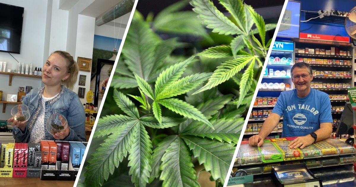 Neue-Regelung-zu-legalem-Cannabis-So-geht-es-jetzt-f-r-Trafiken-und-Hanfshops-weiter