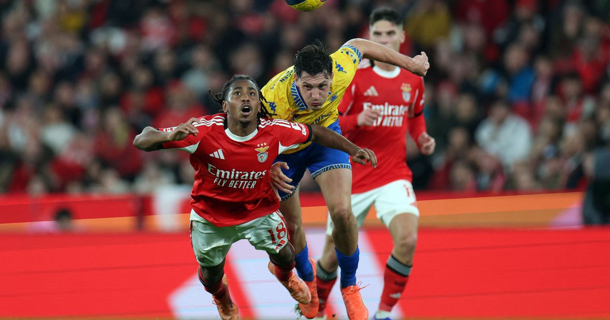 For a transfer fee of four million euros: Olympique Lyon is targeting a ...