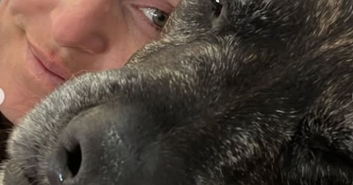 Vonns-Hund-starb-kurz-nach-Olympia-Sturz-So-viel-verloren-