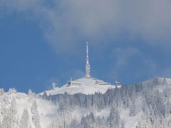 Blick auf das Kitzbühler Horn von Aurach aus.