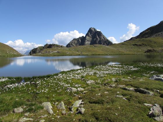 Arnitzsee in Matrei in Osttirol