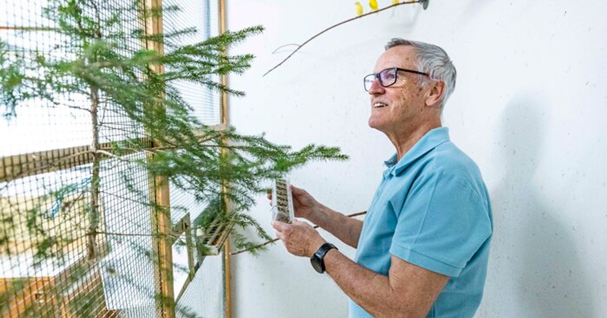 -Tututu-zum-Weltmeister-Wie-ein-Tiroler-Z-chter-mit-Kanarienv-geln-die-Welt-erobert