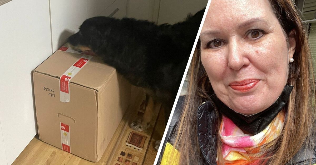 Wenn-der-Postbote-nicht-klingelt-Jenbacherin-wartete-vergeblich-auf-ihr-Paket