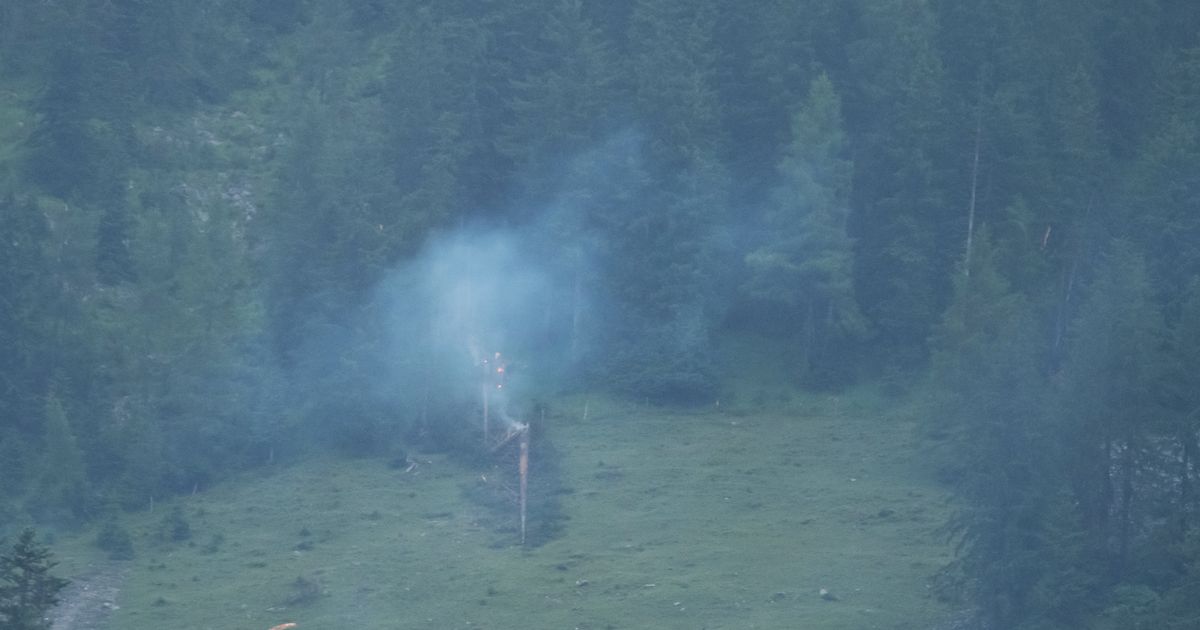 L-scharbeiten-in-schwieriger-Lage-Brennender-Baum-bei-Rohralm-fordert-Einsatzkr-fte