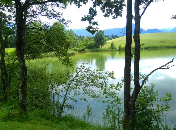 Am Frauensee in Kramsach.