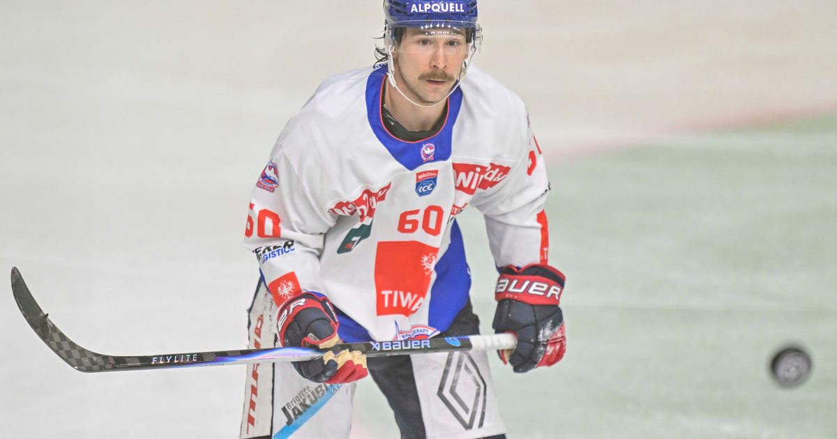 Die-Haie-k-mpfen-aber-die-Qualit-t-reicht-einfach-nicht-aus