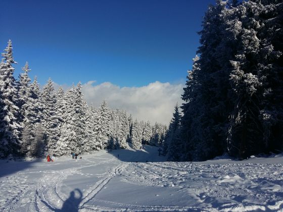 Auf dem Weg zur Birgitzer Alm hat Harald Wechselberger dieses Bild gemacht.