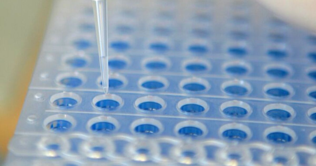 Universeller-Impfstoff-gegen-Viren-und-Bakterien-in-Planung