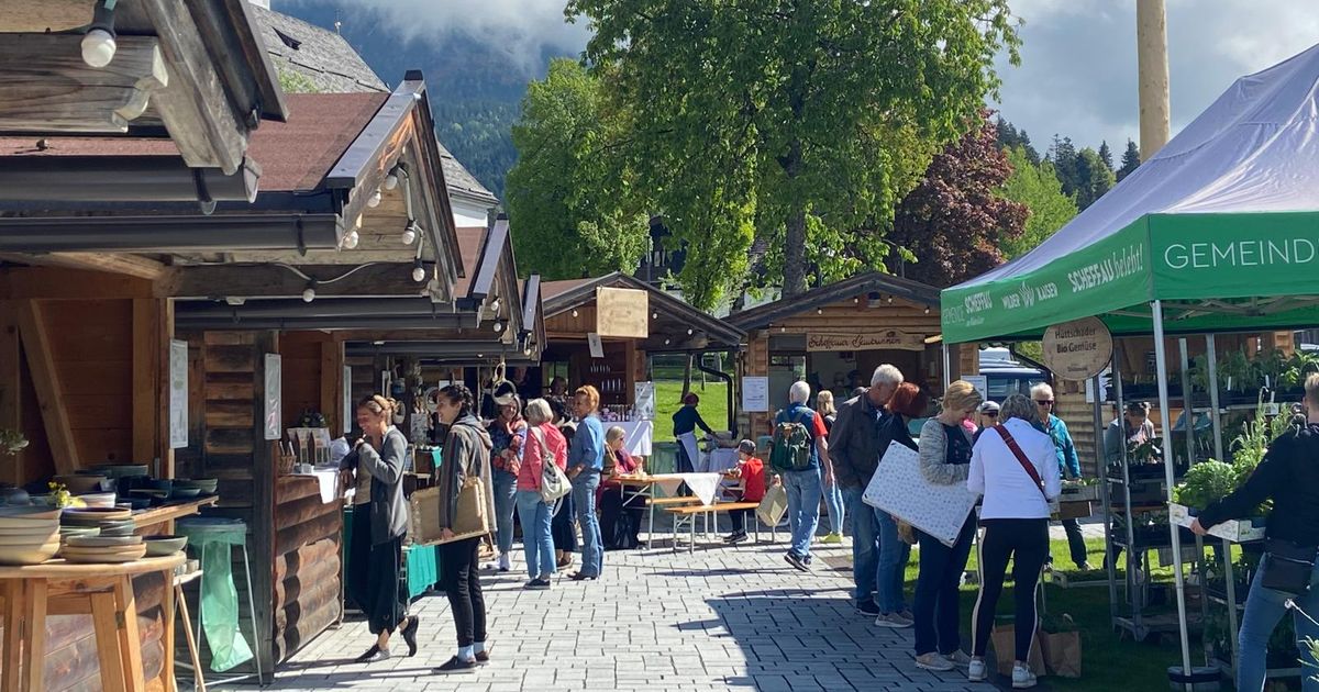 Es-gr-nt-so-gr-n-Wo-demn-chst-im-Unterland-Pflanzenm-rkte-stattfinden