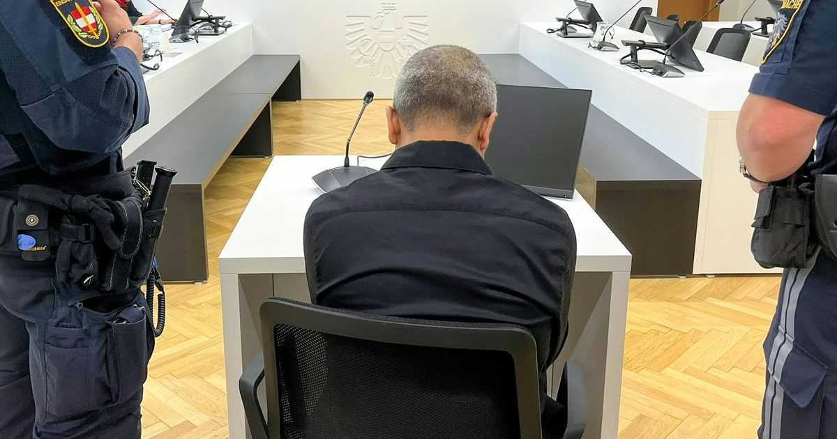 Mehr-als-ein-Dutzend-Stiche-auf-die-Tochter-Lebenslange-Haft-f-r-51-J-hrigen-in-Wien