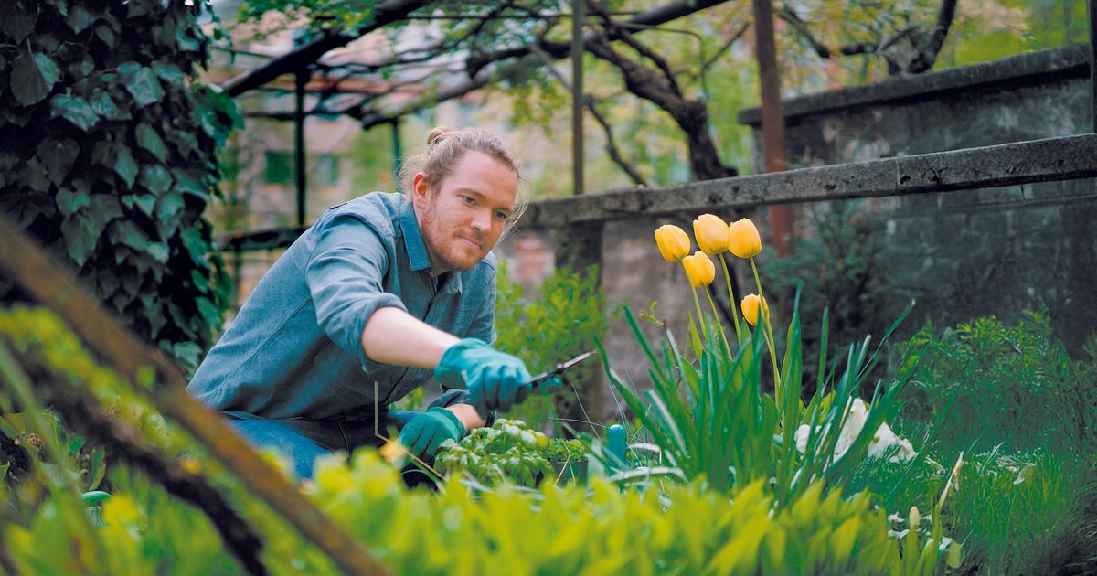 So-wird-der-Garten-fr-hlingsfit-Zehn-Tipps-von-Experte-Karl-Ploberger