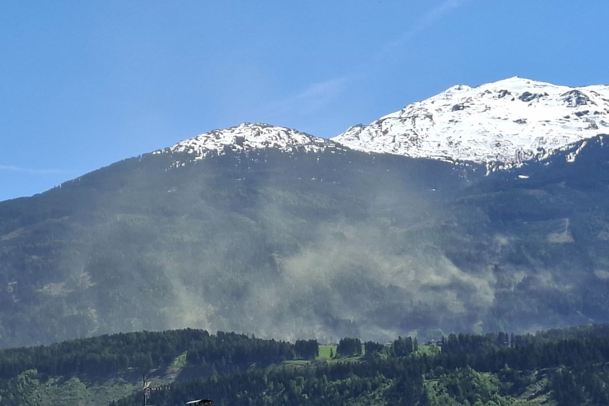 Pollen-Wolken über Tirols Wäldern lösten Fehlalarme bei der Feuerwehr aus