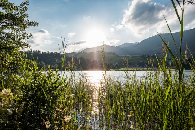 Thiersee.