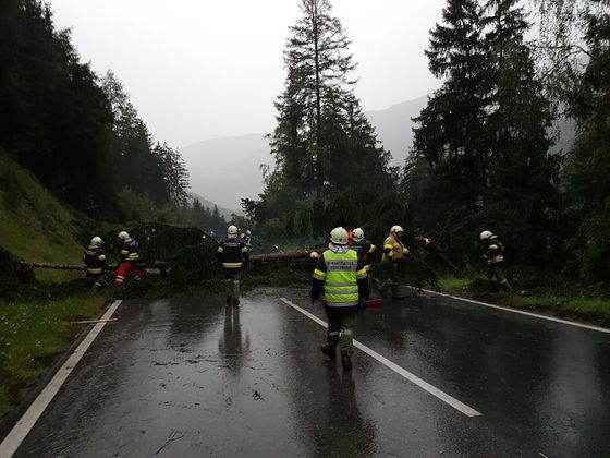 Die Feuerwehr Umhausen räumte die Ötztaler Bundesstraße wegen eines umgestürzten Baumes.