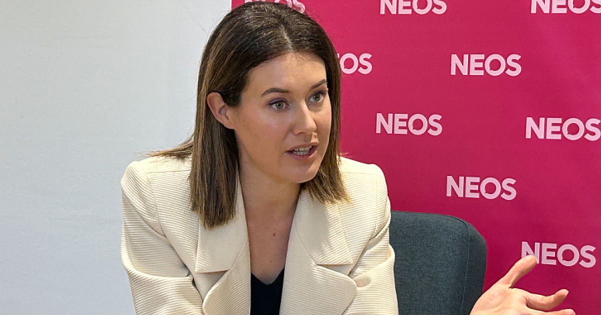 NEOS-beschlossen-Grundsatzpapier-zu-Gemeindereformen