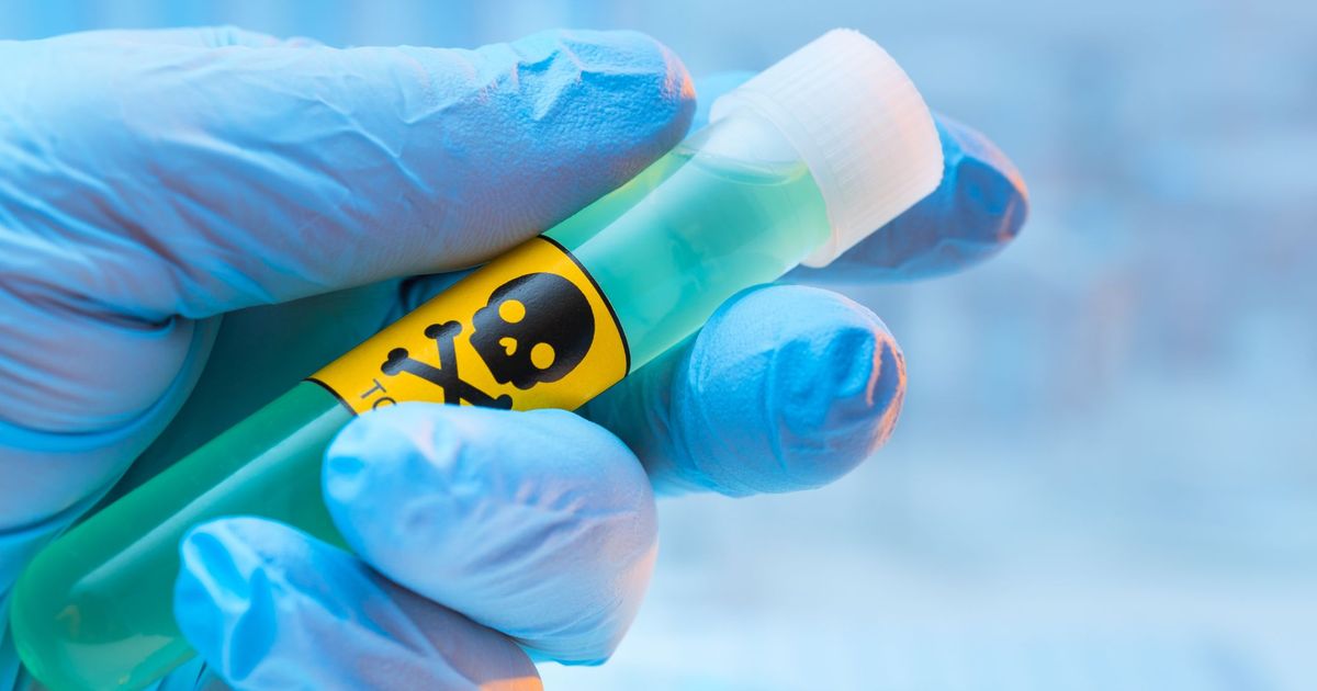 Dramatische-Wende-in-Italien-Fischvergiftung-entpuppt-sich-als-Doppelmord