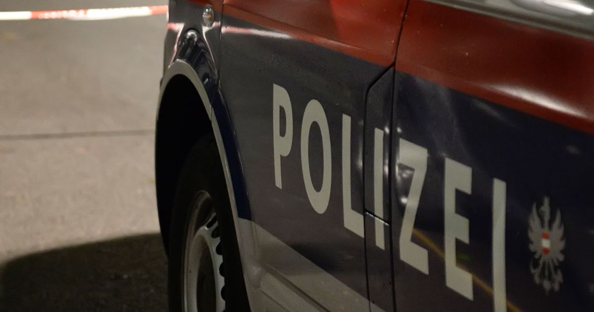 Totes-Kleinkind-in-Nieder-sterreich-gefunden-U-Haft-f-r-Mutter-verh-ngt