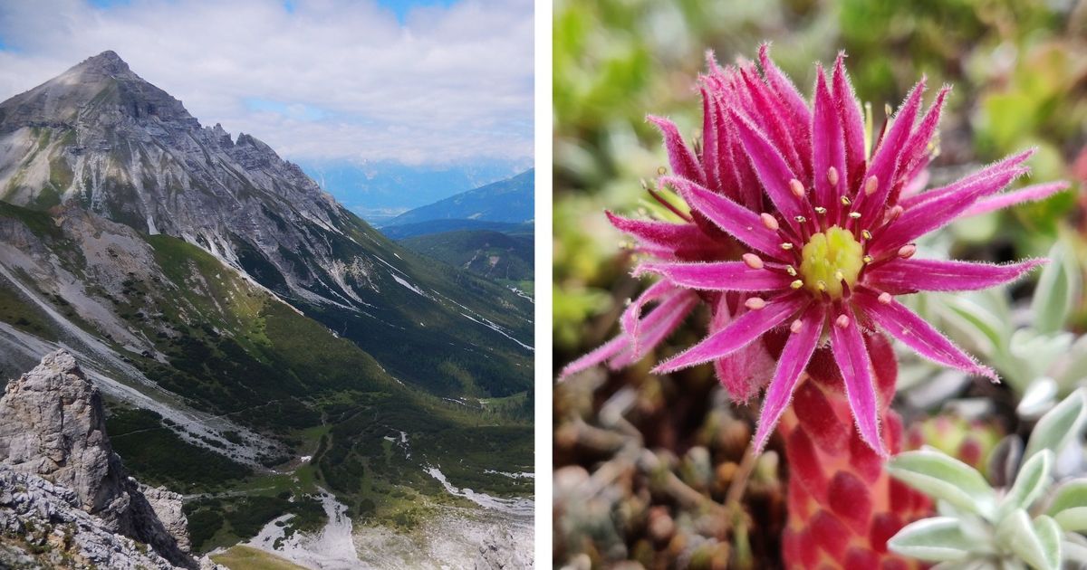 Wie-die-Bergwacht-Matrei-den-Menschen-die-Natur-in-Bildern-n-herbringen-will