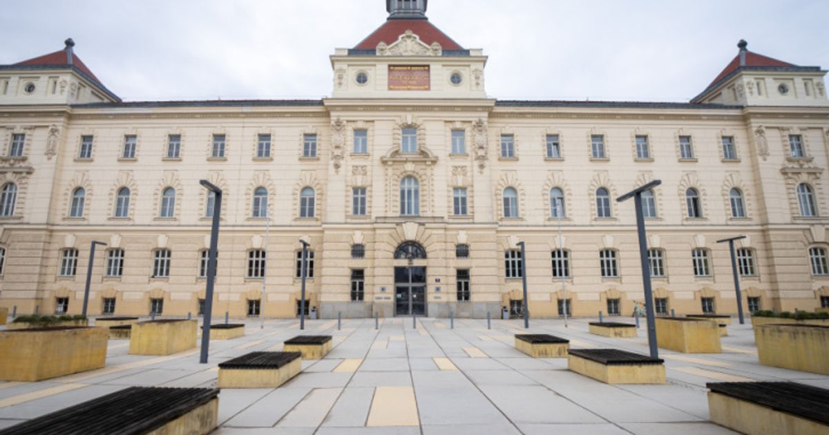 Prozess-wegen-Terror-Pl-nen-gegen-Vienna-Pride-beginnt