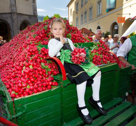 Die kleine Valentina hat sich beim Radieschenfest den besten Platz ausgesucht.
