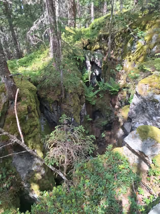 Der Wald am Piller ist von Felsspalten durchzogen, aus denen man keltische Funde bergen konnte.