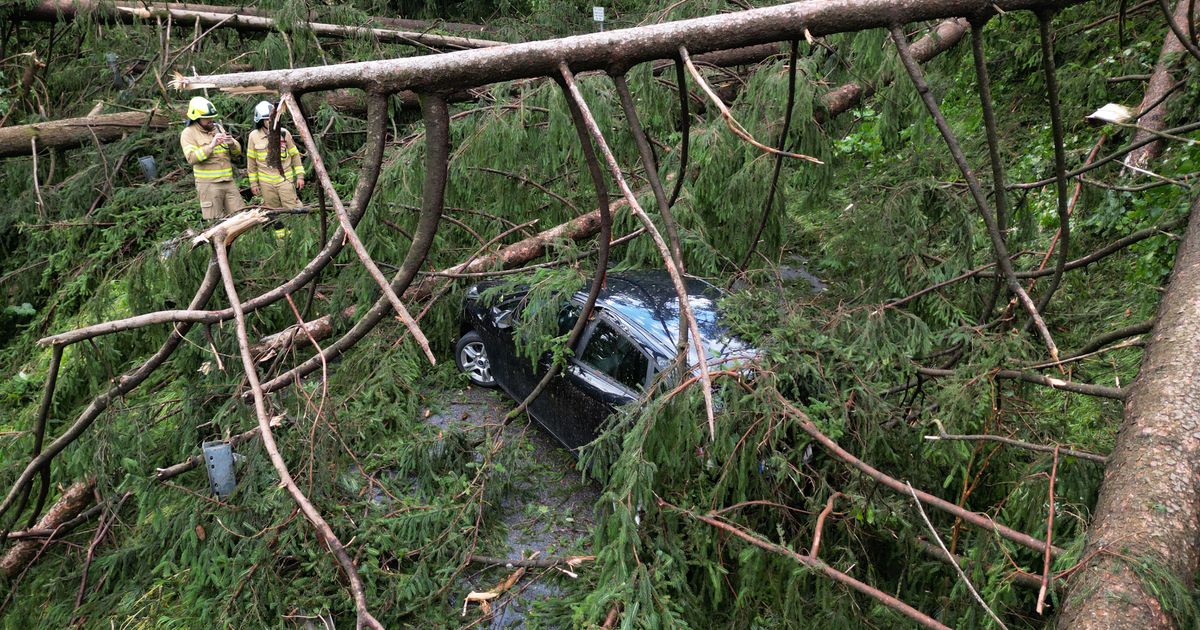 Heftige-Gewitter-mit-Starkregen-in-Tirol-Baum-st-rzte-auf-fahrendes-Auto