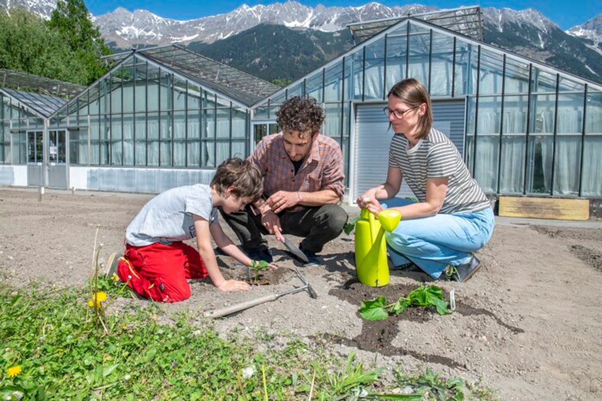 Kleiner Garten, große Pläne: 80 Innsbrucker Hobbygärtner freuen sich auf ihr verlostes Beet