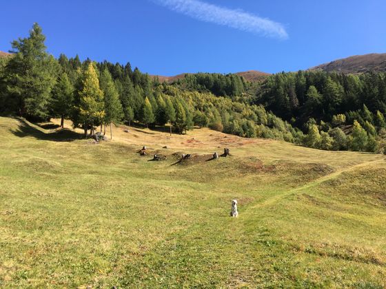 Der Weg zur Goglesalm außerhalb von Fließ.
