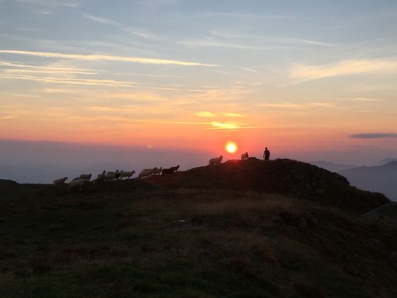 Sonnenaufgang am Sonnjoch in den Kitzbüheler Alpen.