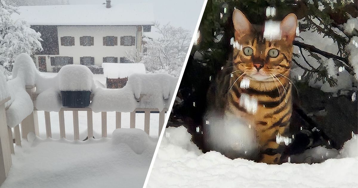 Der-Winter-ist-zur-ck-in-Tirol-Das-sind-die-besten-Leserfotos