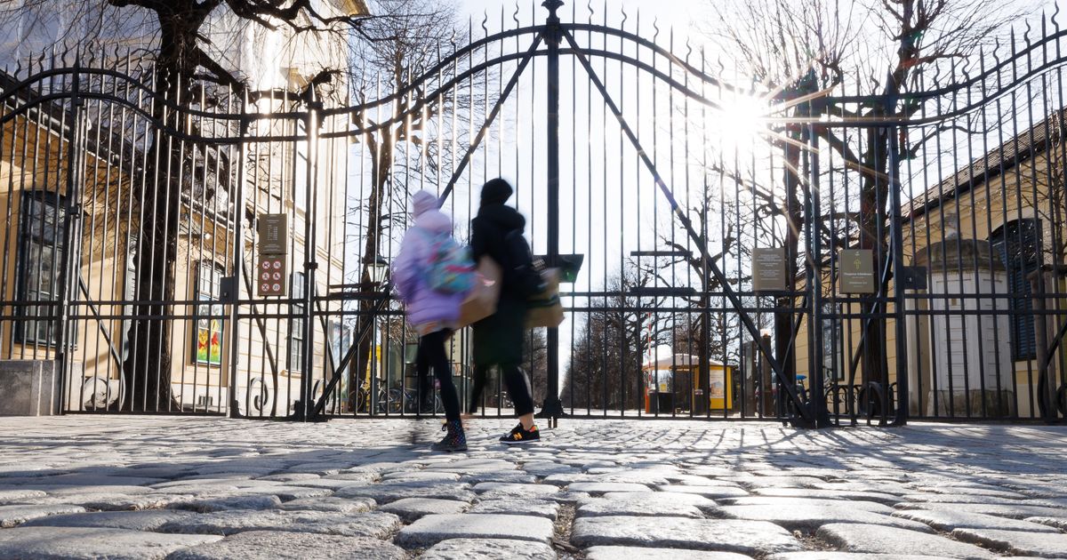 Antilope-in-Tiergarten-Sch-nbrunn-von-Unbekannten-erschossen