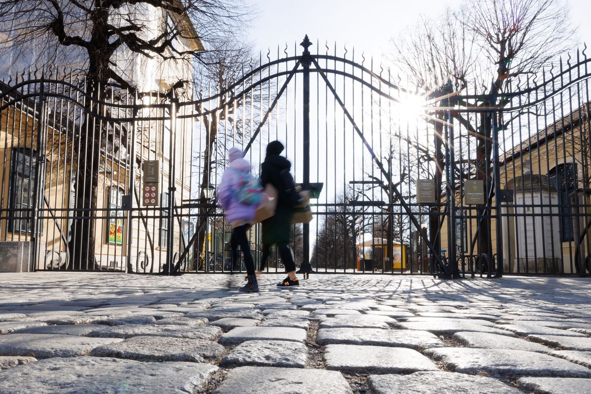 Antilope in Tiergarten Schönbrunn von Unbekannten erschossen