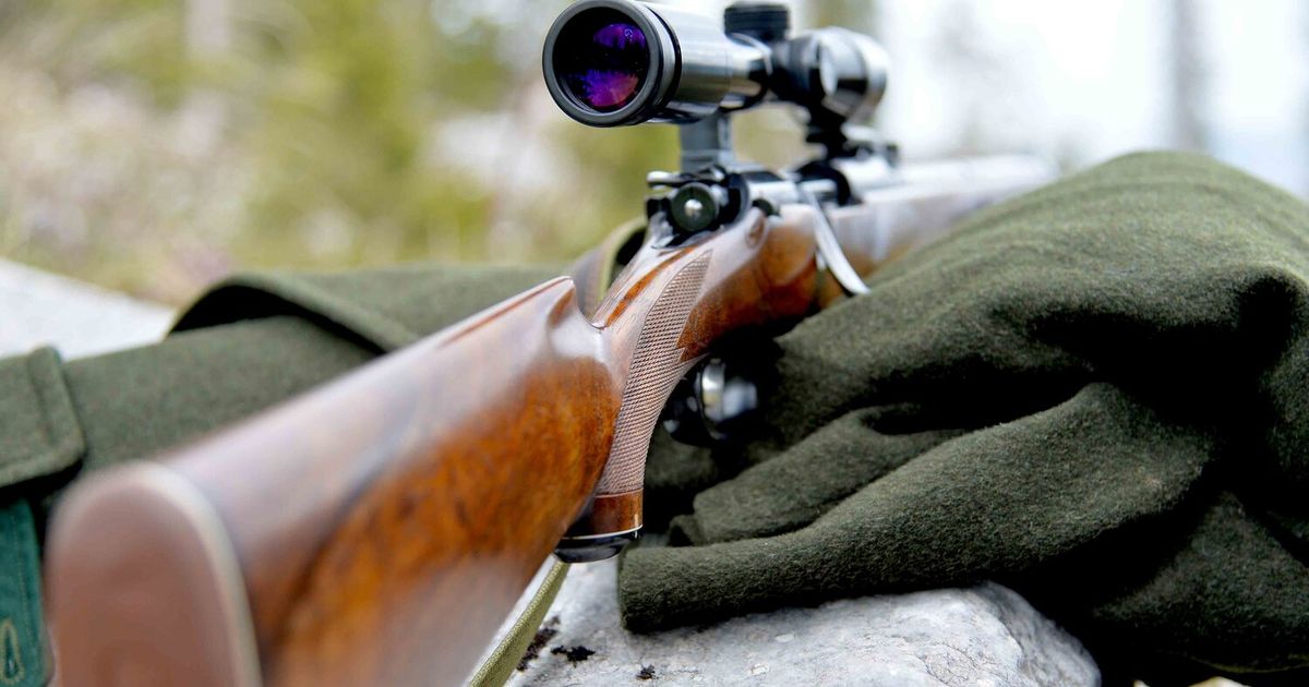 -Forderndes-Jagdjahr-Tiroler-J-ger-haben-Abschussquote-knapp-verfehlt