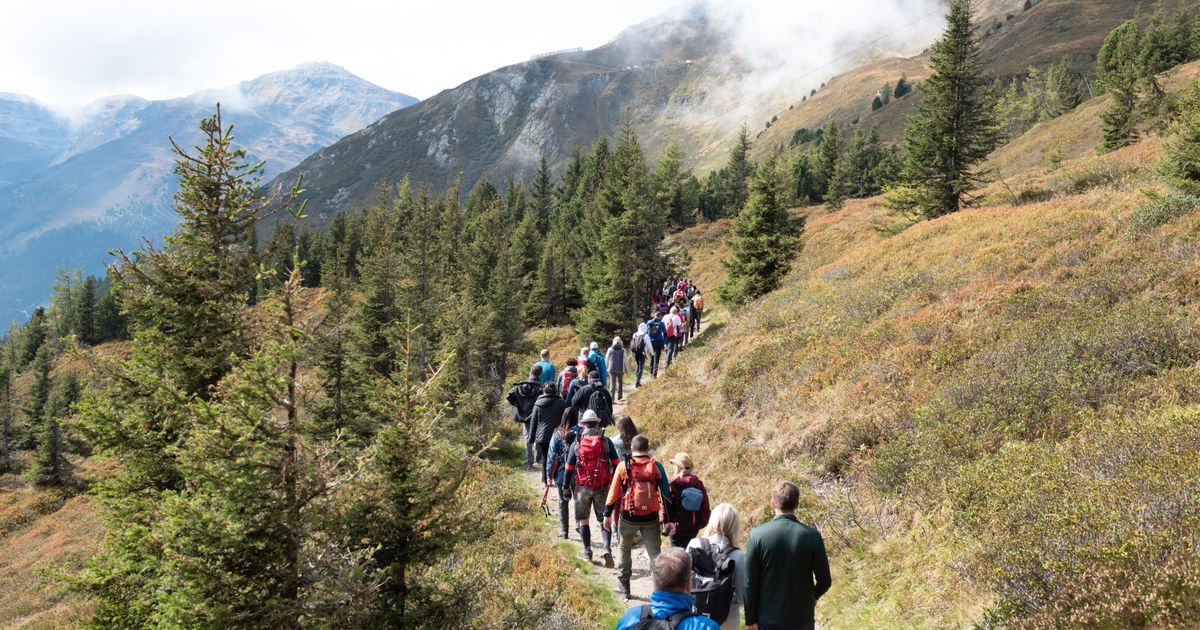 Wirtschaft-auf-Wanderschaft-Wenn-F-hrungskr-fte-gemeinsam-Gipfel-erklimmen