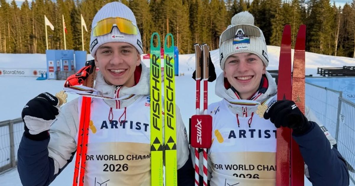 Gold-berraschung-durch-Kombinierer-Th-r-und-Gfrerer-Bronze-f-r-Bucher