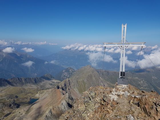 Wildgrat auf 2971 Meter.