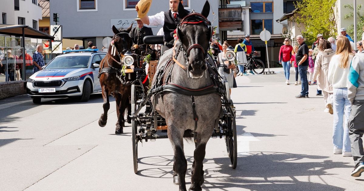 Georgiritt-wegen-Pferdegrippe-abgesagt-Das-m-ssen-PferdehalterInnen-in-Tirol-beachten