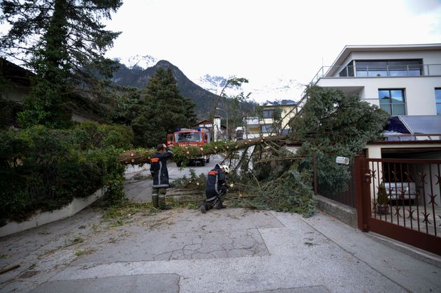 ... und auch in Innsbruck.