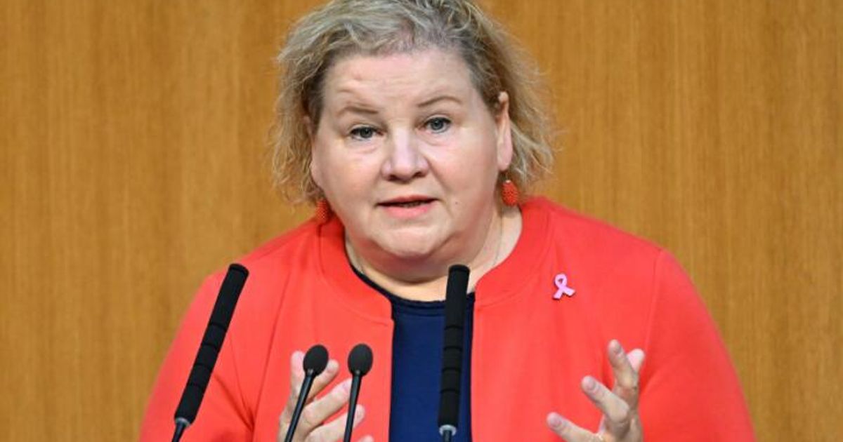 Neue-Regeln-f-r-freie-Dienstnehmer-im-Nationalrat-fixiert